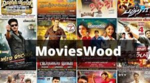 How to download movies wood 500Mb, 750Mb and 1080Mb on Utorrent 2022