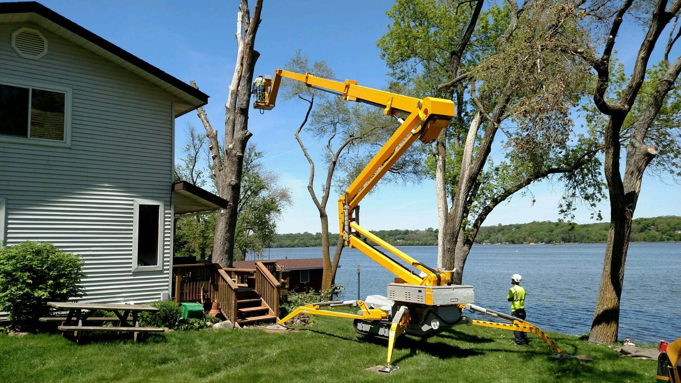 Branch Cutting Service